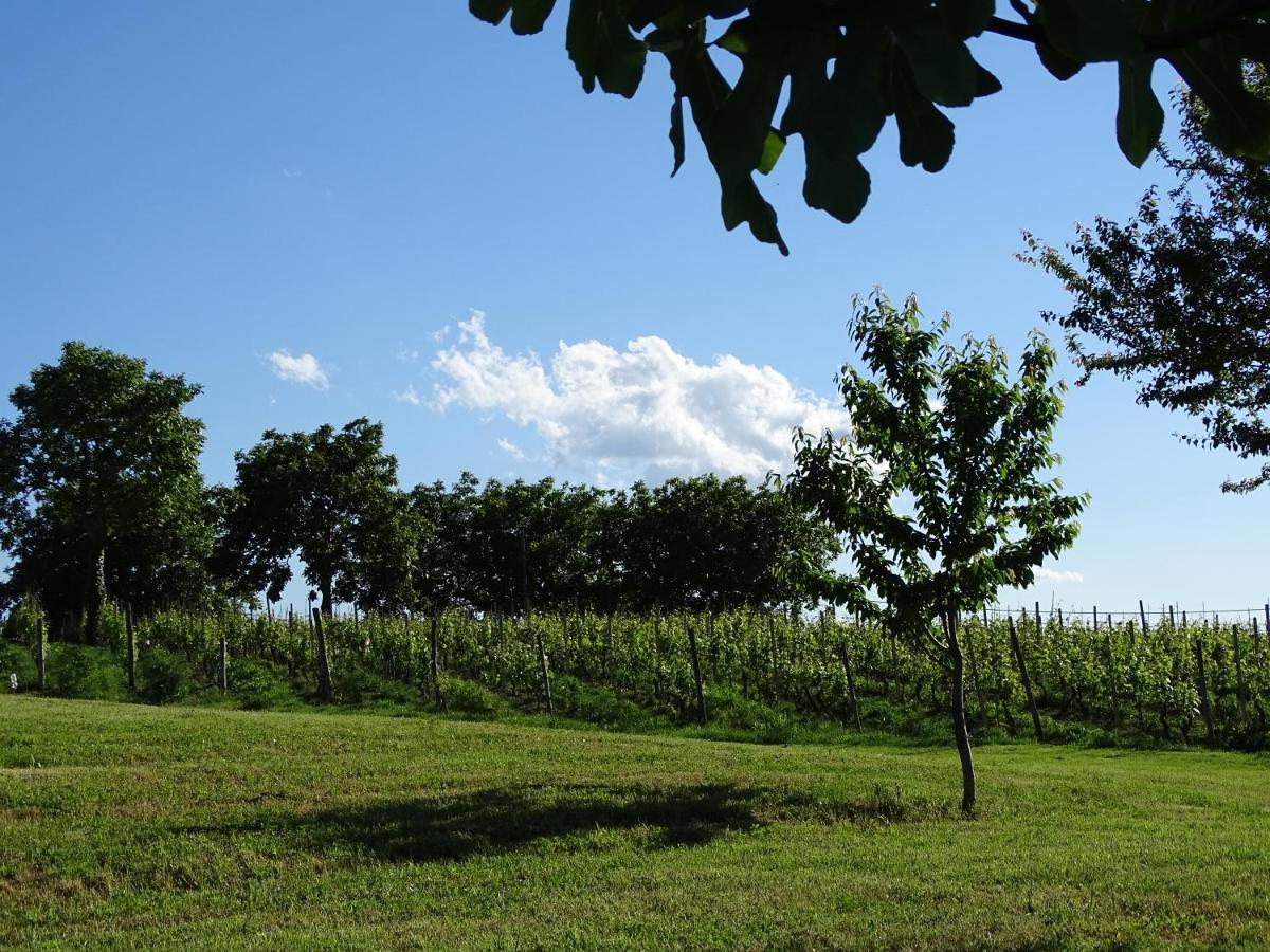 Al Tirabuson Country House Nizza Monferrato Exterior photo